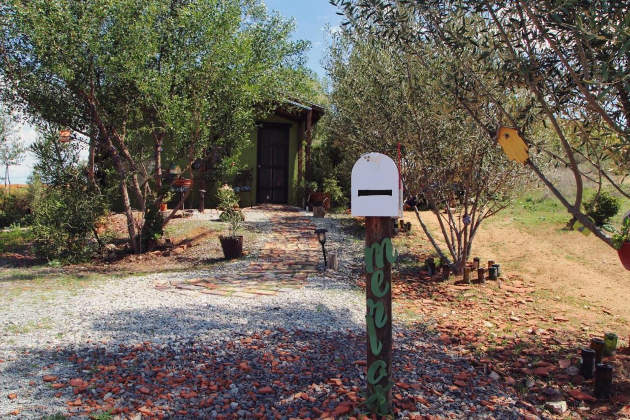 Posada San Antonio Villa Valle de Guadalupe Exterior photo