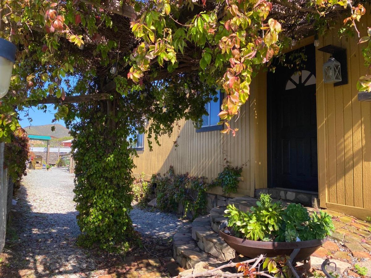 Posada San Antonio Villa Valle de Guadalupe Exterior photo